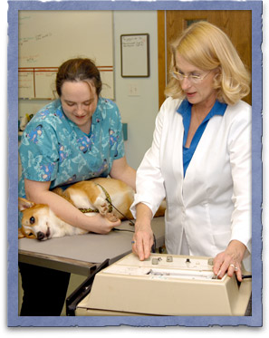 ECG for Pets