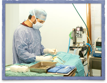 Surgical Services