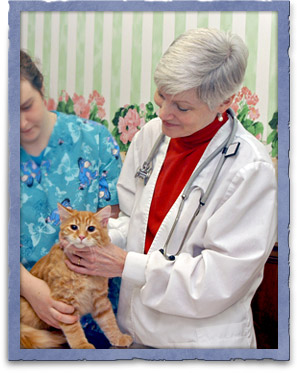 Health Care for Pets