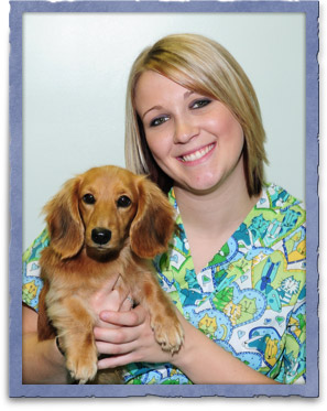 Community Animal Hospital Staff