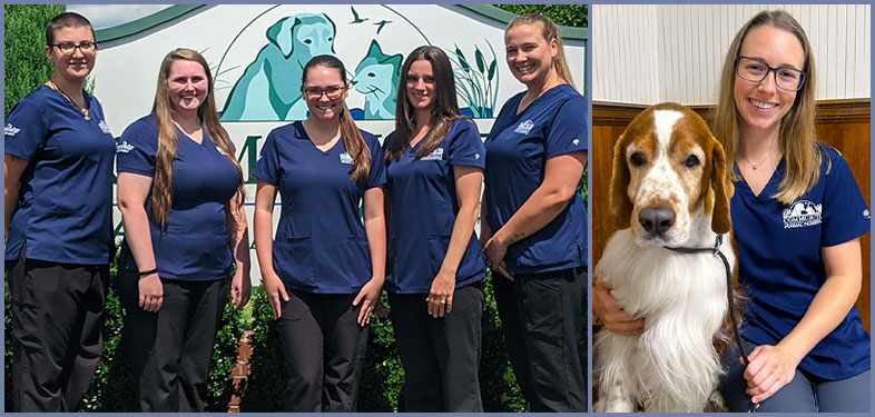 Veterinary Nurses